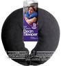Go Travel bean sleeper pillow 454